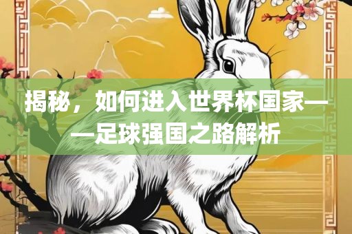 揭秘，如何进入世界杯国家——足球强国之路解析眉山市正发家政服务有限公司