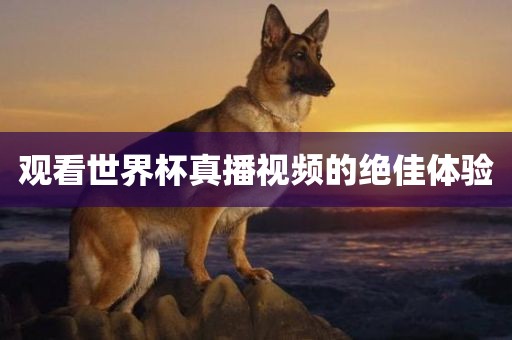 观看世界眉山市正发家政服务有限公司杯真播视频的绝佳体验