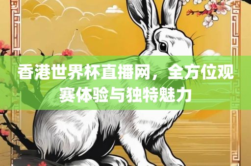 香港世界杯直播网，全方位观赛体验与独特魅力
