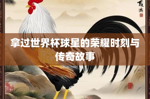 拿过世界杯球星的荣耀时刻与传奇故事眉山市正发家政服务有限公司