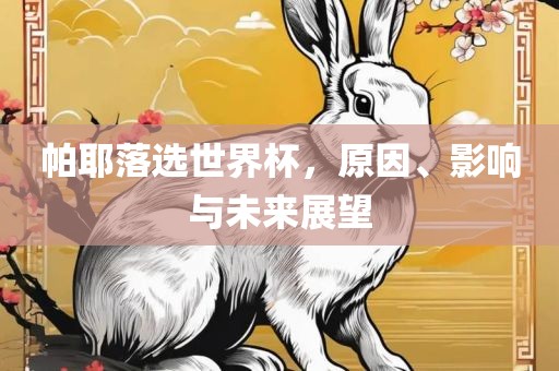 帕耶落选世界杯，原因、影响与未来展望眉山市正发家政服务有限公司