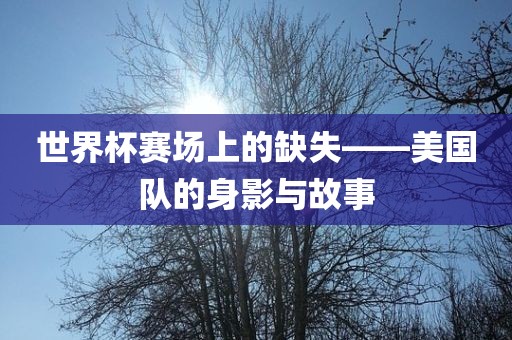 世界杯赛场上的缺失——美国队的身影与故事眉山市正发家政服务有限公司