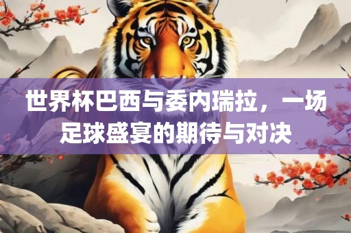 世界杯巴西与委内瑞拉，一场足球盛宴的期待与对决