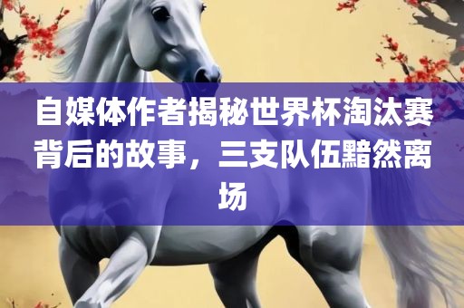 自媒体作者揭秘世界杯淘汰赛背后的故事，三支队伍黯然离场