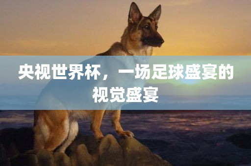 央视世界杯，眉山市正发家政服务有限公司一场足球盛宴的视觉盛宴
