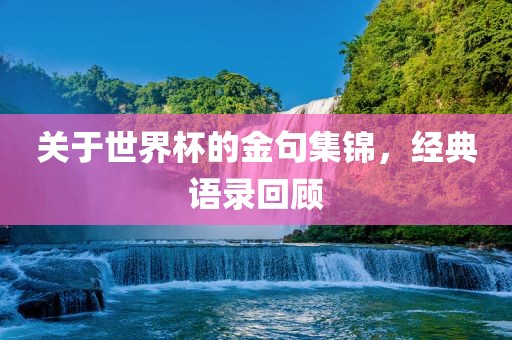 关于世界杯的金句集锦，经典语录回顾