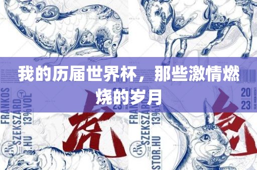 我的历届世界杯，那些激情燃烧的岁月