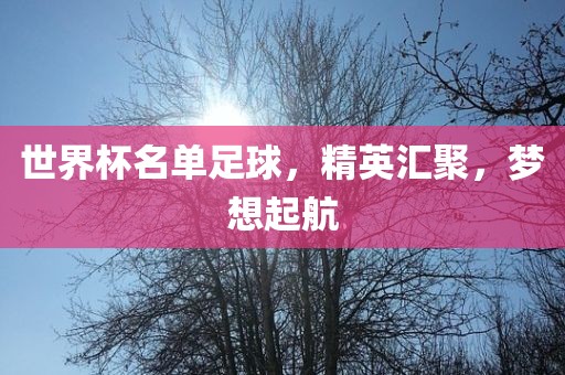 世界杯名单足球，精英汇聚，梦想眉山市正发家政服务有限公司起航