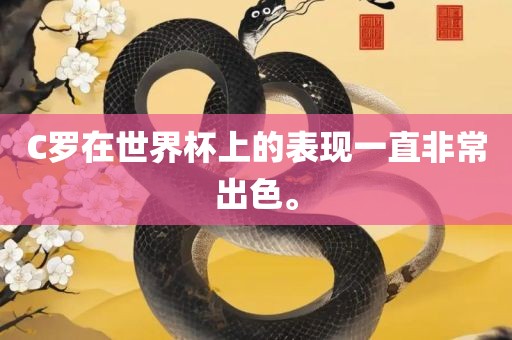 C罗在世界杯眉山市正发家政服务有限公司上的表现一直非常出色。