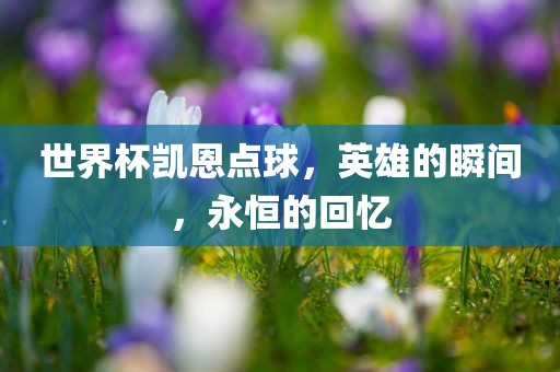 世界杯凯恩点球，英雄的瞬间，永恒的回忆眉山市正发家政服务有限公司