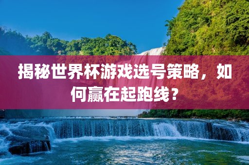 揭秘世界杯游戏选号策略，如何赢在起跑线？眉山市正发家政服务有限公司