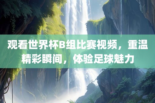 观看世界杯B组比赛视频，重温精彩瞬间，体验足球魅力