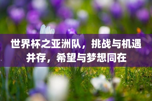 世界杯之亚洲队，挑战与机遇并存，希望与梦想同在