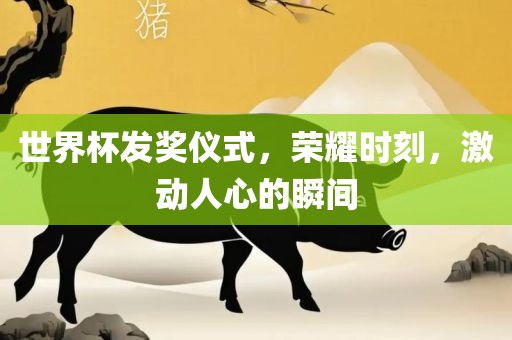 世界杯发奖仪式，荣耀时刻，激动人心的瞬间