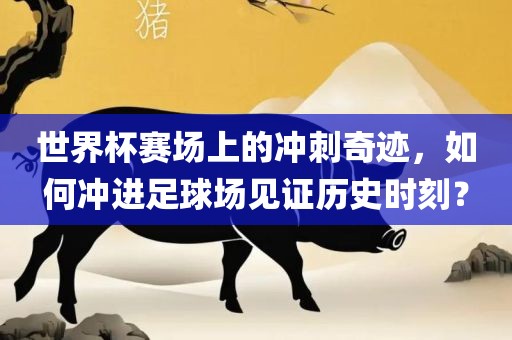世界杯赛场上的冲刺奇迹，如何冲进足球场见证历史时刻？