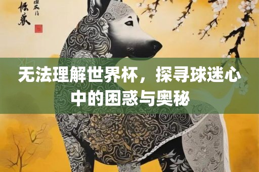 无法理解世界杯，探寻球迷心中的困惑与奥秘