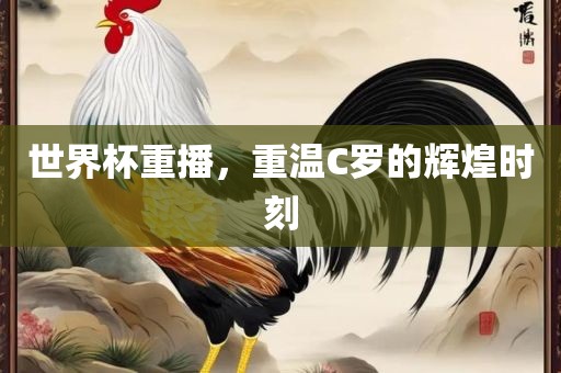 世界杯重播，重温C罗的辉煌时刻