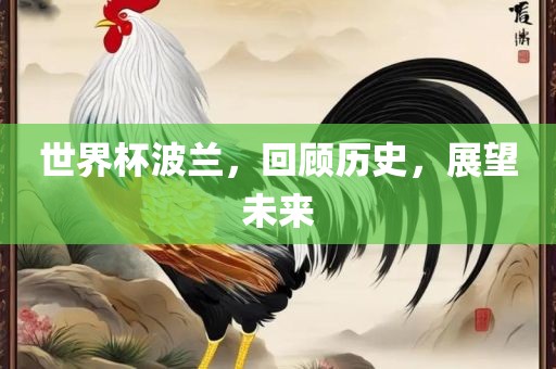 世界杯波兰，回顾历史，展望未来眉山市正发家政服务有限公司