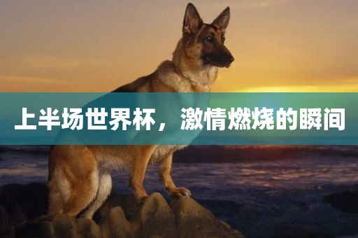 上半场世界杯，激情燃烧的瞬间