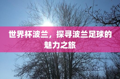世界杯波兰，探寻波兰足球的魅力之旅
