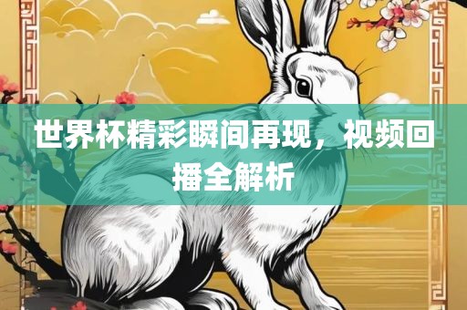 世界杯精彩瞬间再现，视频回播全解析