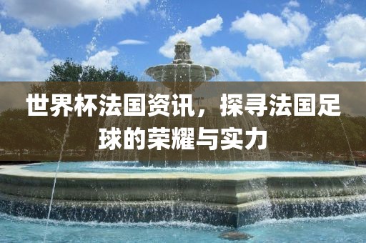 世界杯法国资讯，探寻法国足球的荣耀与实力