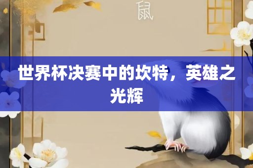世界杯决赛中的坎特，英雄之光辉