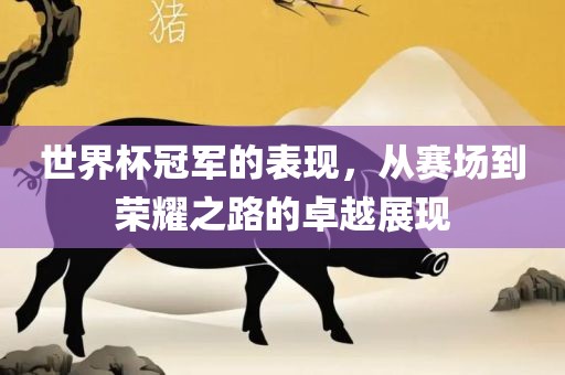 世界杯冠军的表现，从赛场到荣耀之路的卓越展现