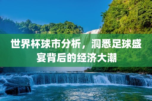世界杯球市分析，洞悉足球盛宴背后的经济大潮