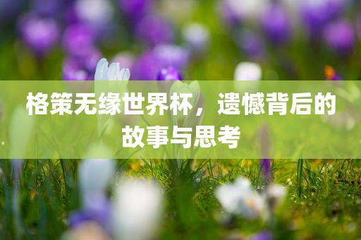 格策无缘世界杯，遗憾背后的故事与思考眉山市正发家政服务有限公司