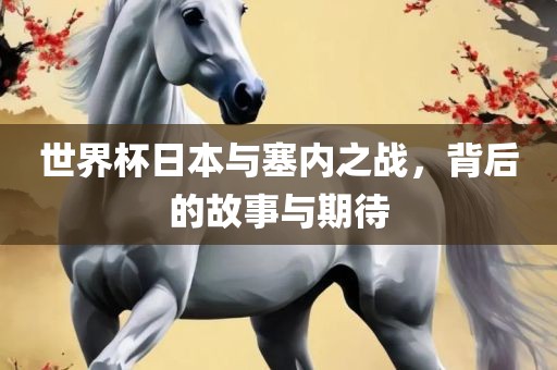 世界杯日本与塞内之战，背后的故事与期待