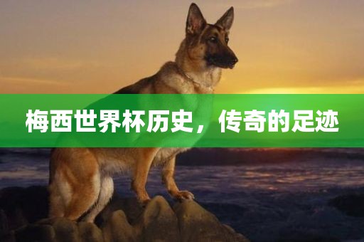 梅西世界杯历史，传奇的足迹