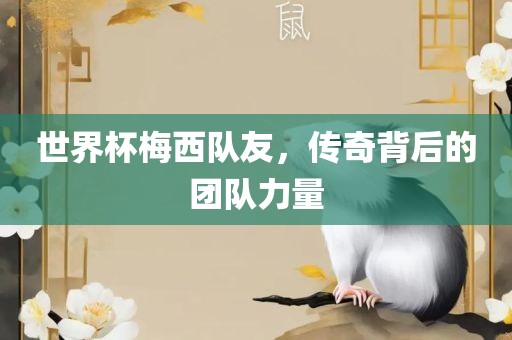 世界杯梅西队友，传奇背后的团队力量眉山市正发家政服务有限公司