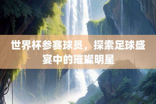 世界杯参赛球员，探索足球盛宴中的璀璨明星