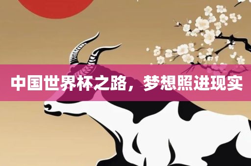 中国世界杯之路，梦想照进现实