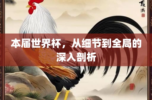 本届世界杯，从细节到全局的深入剖析眉山市正发家政服务有限公司