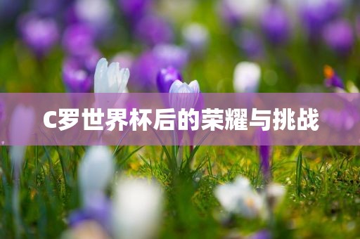 C罗世界杯后的荣耀与挑战
