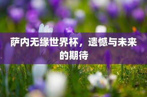 萨内无缘世界杯，遗憾与未来的期待