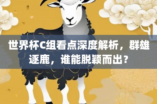 世界杯C组看点深度解析，群雄逐鹿，谁能脱颖而出？