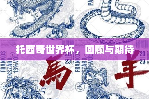托西奇世界杯，回顾与期待