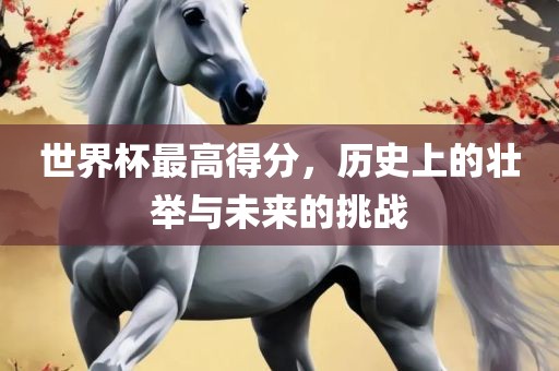世界杯最高得分，历史上的壮举与未来的挑战