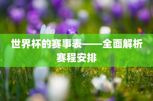 世界杯的赛事表——全面解析赛程安排眉山市正发家政服务有限公司