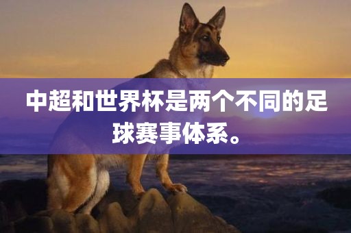 中超和世界杯是两个不同的足球赛事体系。