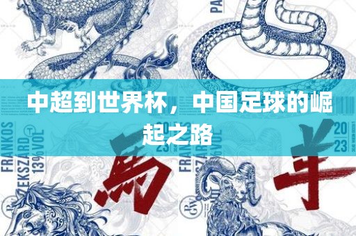 中超到世界杯，中国足球的崛起之路