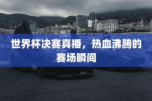 世界杯决赛真播，热血沸腾的赛场瞬间