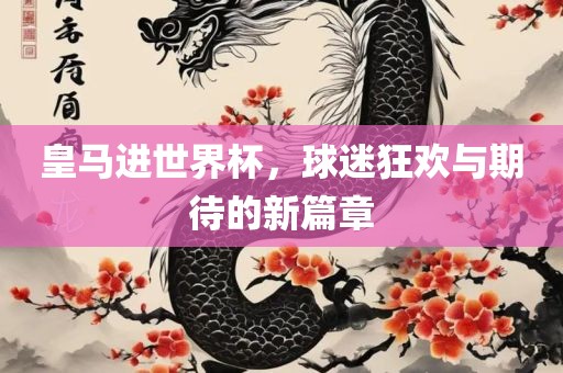 皇马进世界杯，球迷狂欢与期待的新篇章