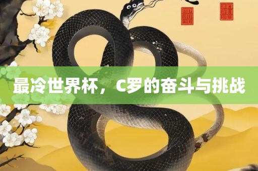 最冷世界杯，C罗的奋斗与挑战