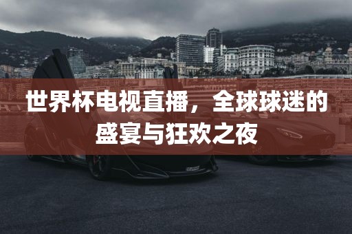 世界杯电视直播，全球球迷的盛宴与狂欢之夜