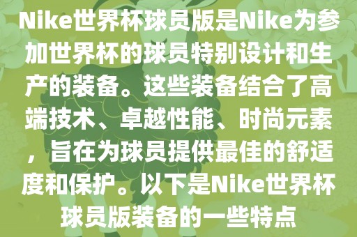 Nike世界杯球员版是Nike为参加世界杯的球员特别设计和生产的装备。这些装备结合了高端技术、卓越性能、时尚元素，旨在为球员提供最佳的舒适度和保护。以下是Nike世界杯球员版装备的一些特点