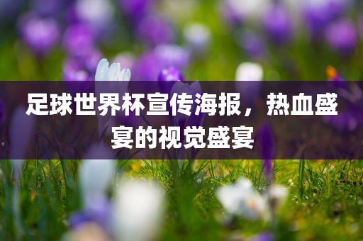足球世界杯宣传海报，热血盛宴的视觉盛宴